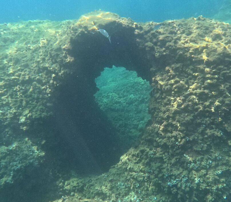 Piranha Sup Surf School-切法卢必去景点