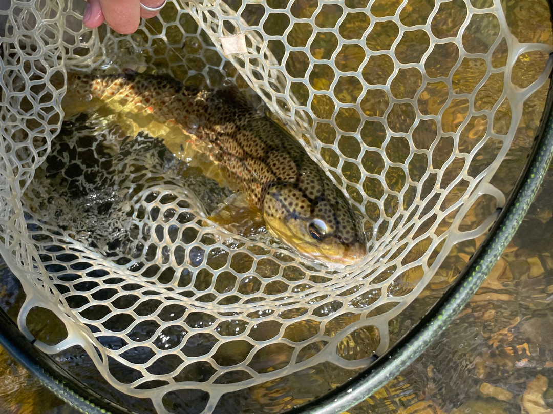 Wasatch Guide Service-李海必去景点