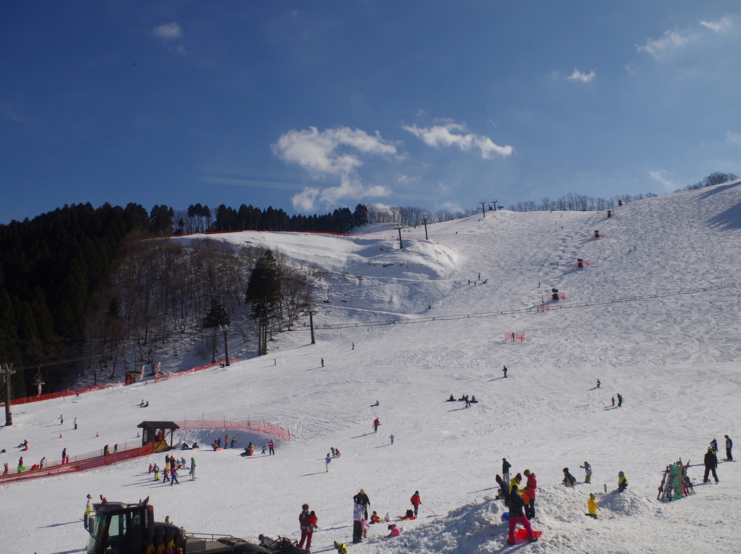 Wakasu Kogen Oya Ski Resort-养父市必去景点