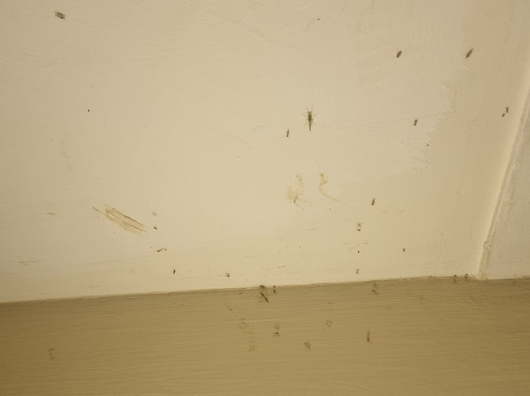 Albergo Le Tre Isole Villaggio主图