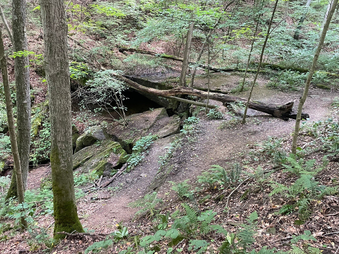 Rockbridge State Nature Preserve-Rockbridge必去景点