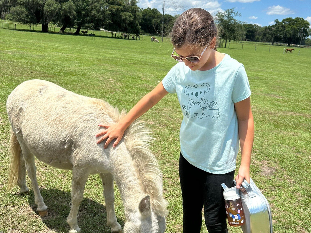 Hearts & Dreams Ranch & Retreat-Dade City必去景点