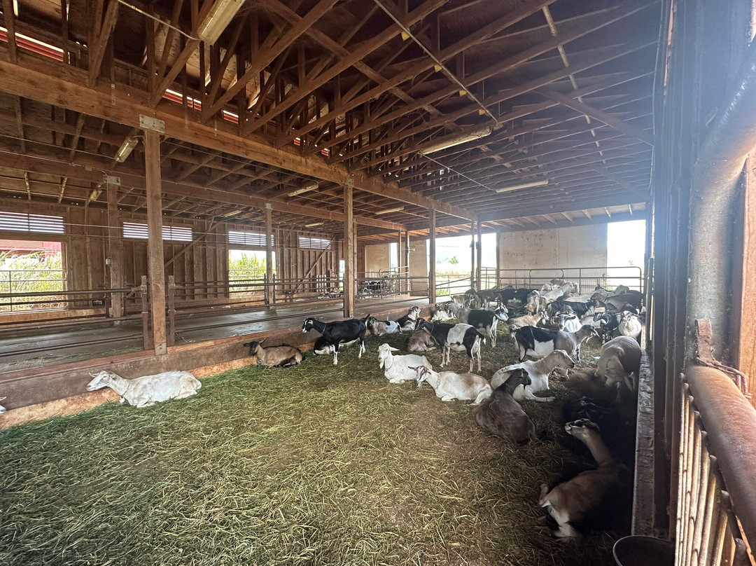 Sweetland Farm Hawaii-瓦亚禄必去景点