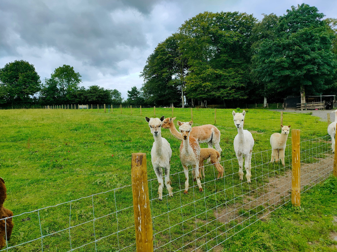 Glyncoch Isaf Holiday Cottages & Camping