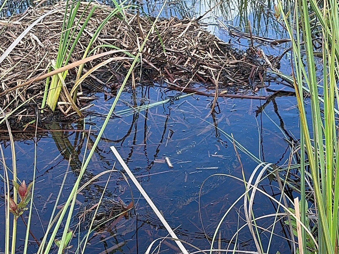 Captain Gerald Motes-Tamarac必去景点