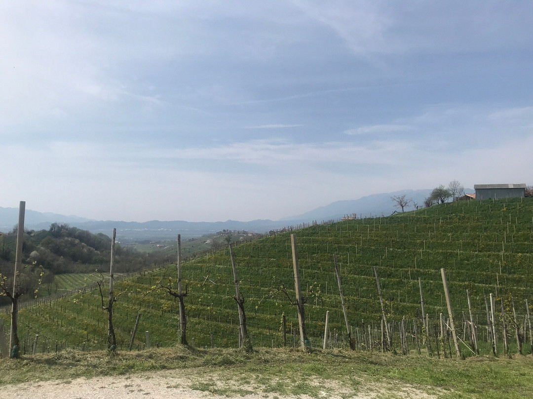 L'Osteria Senz'Oste景点图片