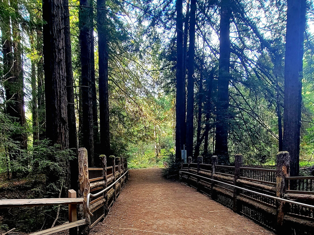 Roberts Regional Recreation Area-奥克兰必去景点