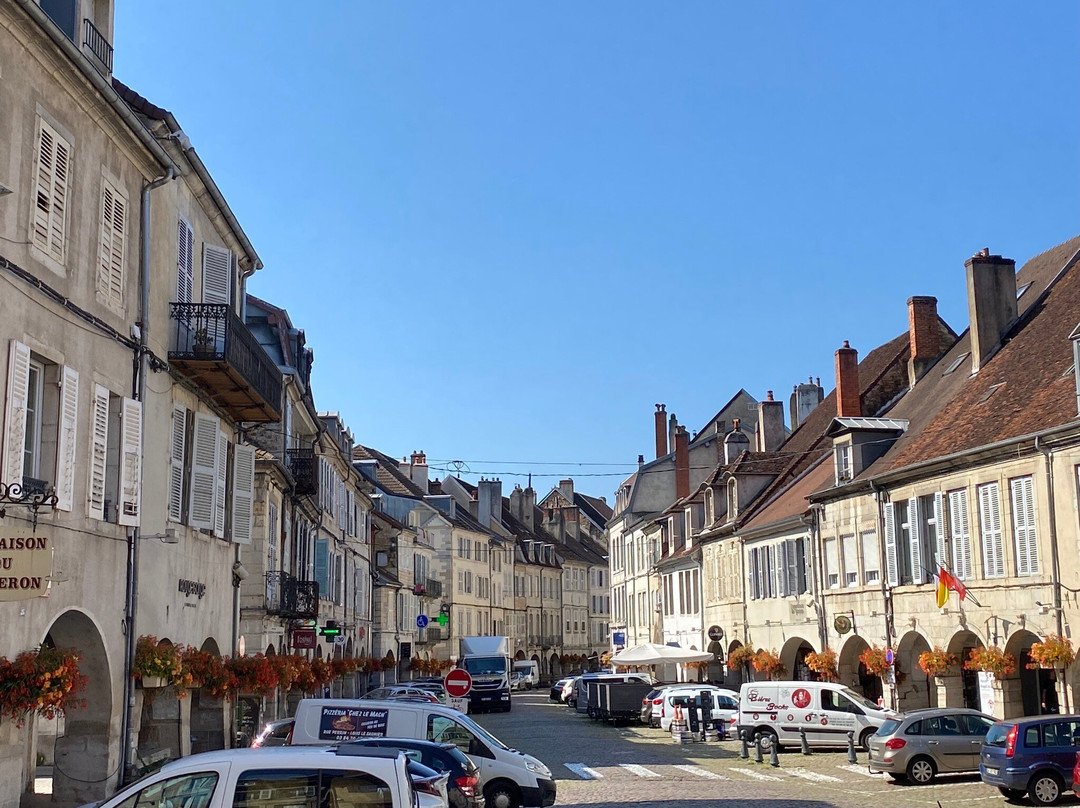 Visites Guidees de Lons-le-Saunier景点图片