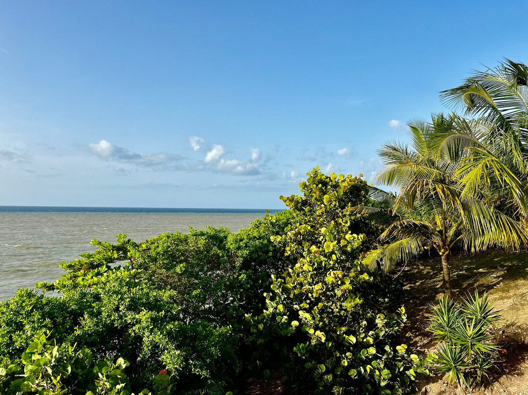 Kikita Beach Guest House Bar y Grill主图