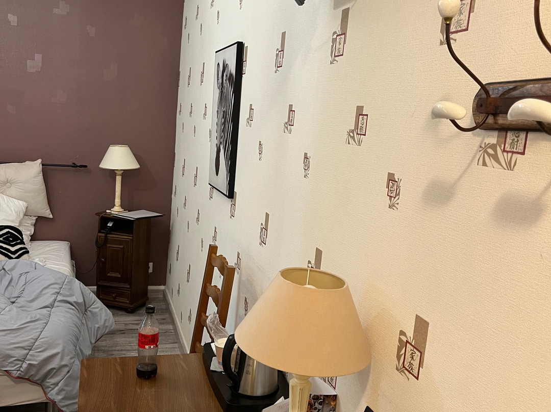 Hotel Le Chalet Montegut主图