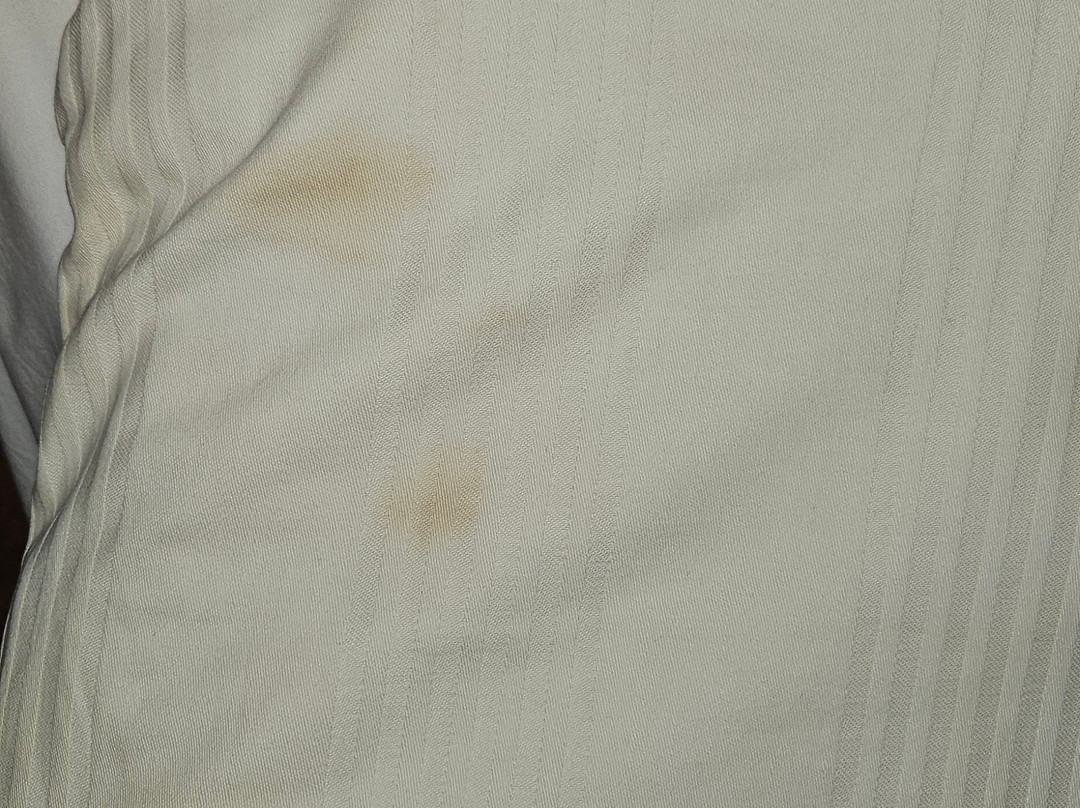 佐蒂亚克酒店主图