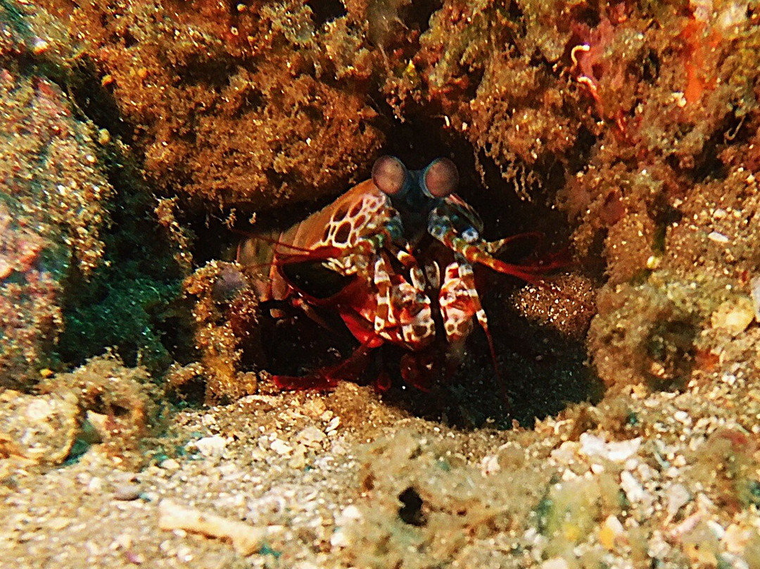 蔚蓝潜水瑜伽度假村主图