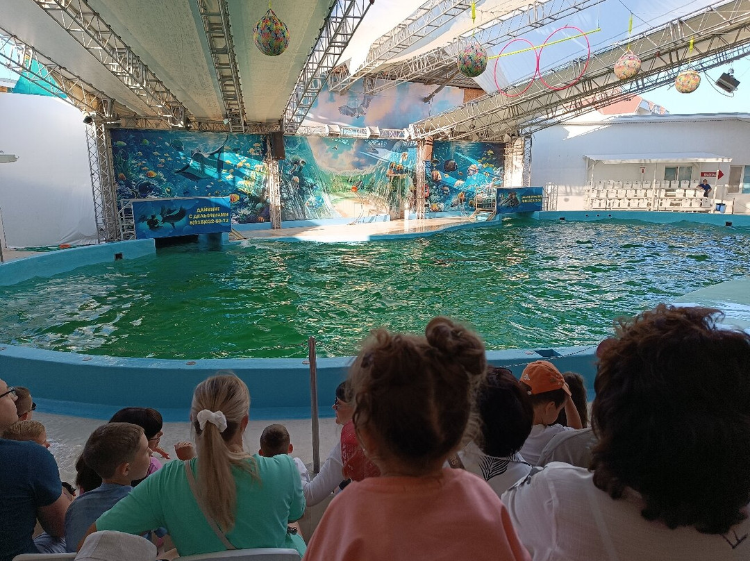 Anapa Dolphinarium (Nemo)景点图片