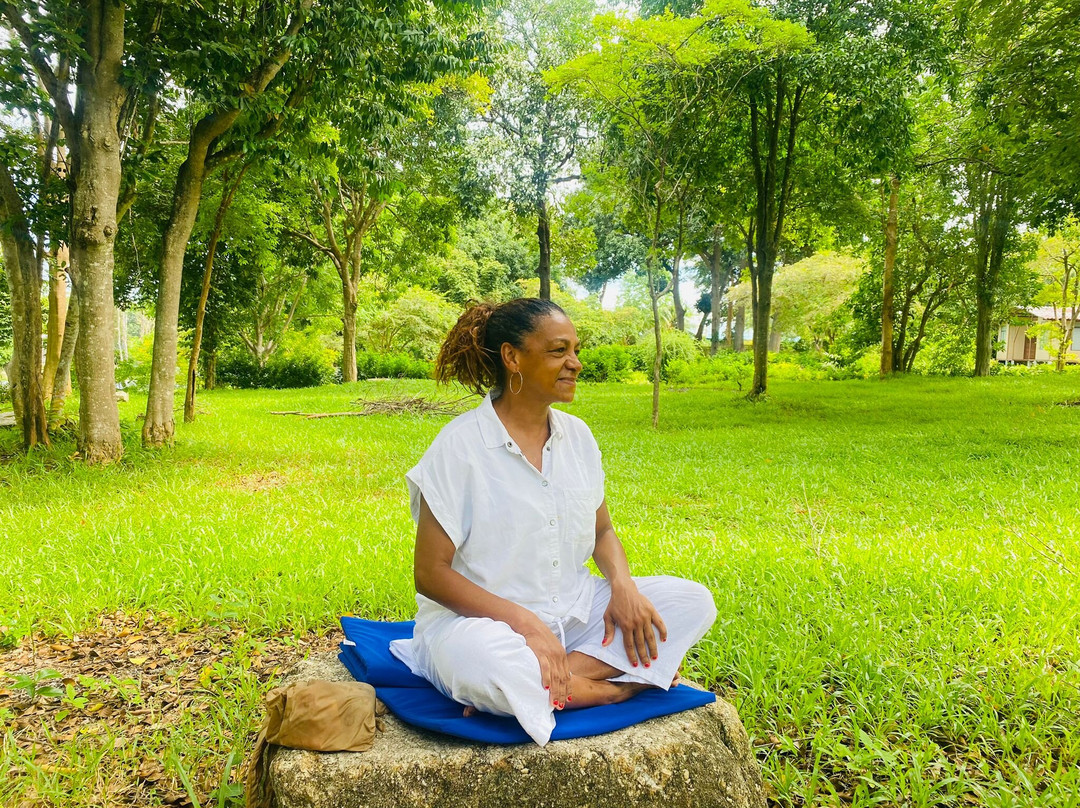 Samui International Meditation Center景点图片