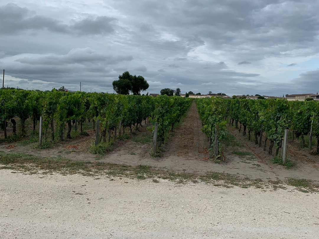 Chateau de Ferrand-圣埃美隆必去景点