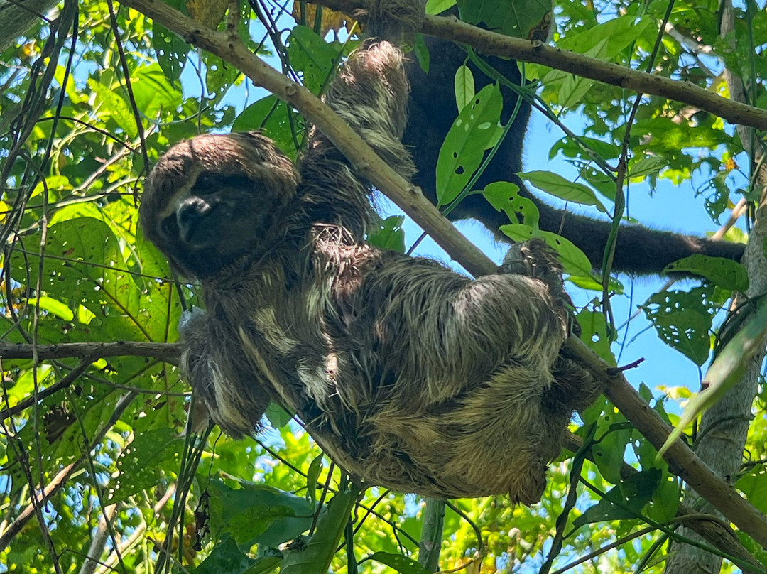 Kelwin's Amazon Adventures-伊基托斯必去景点