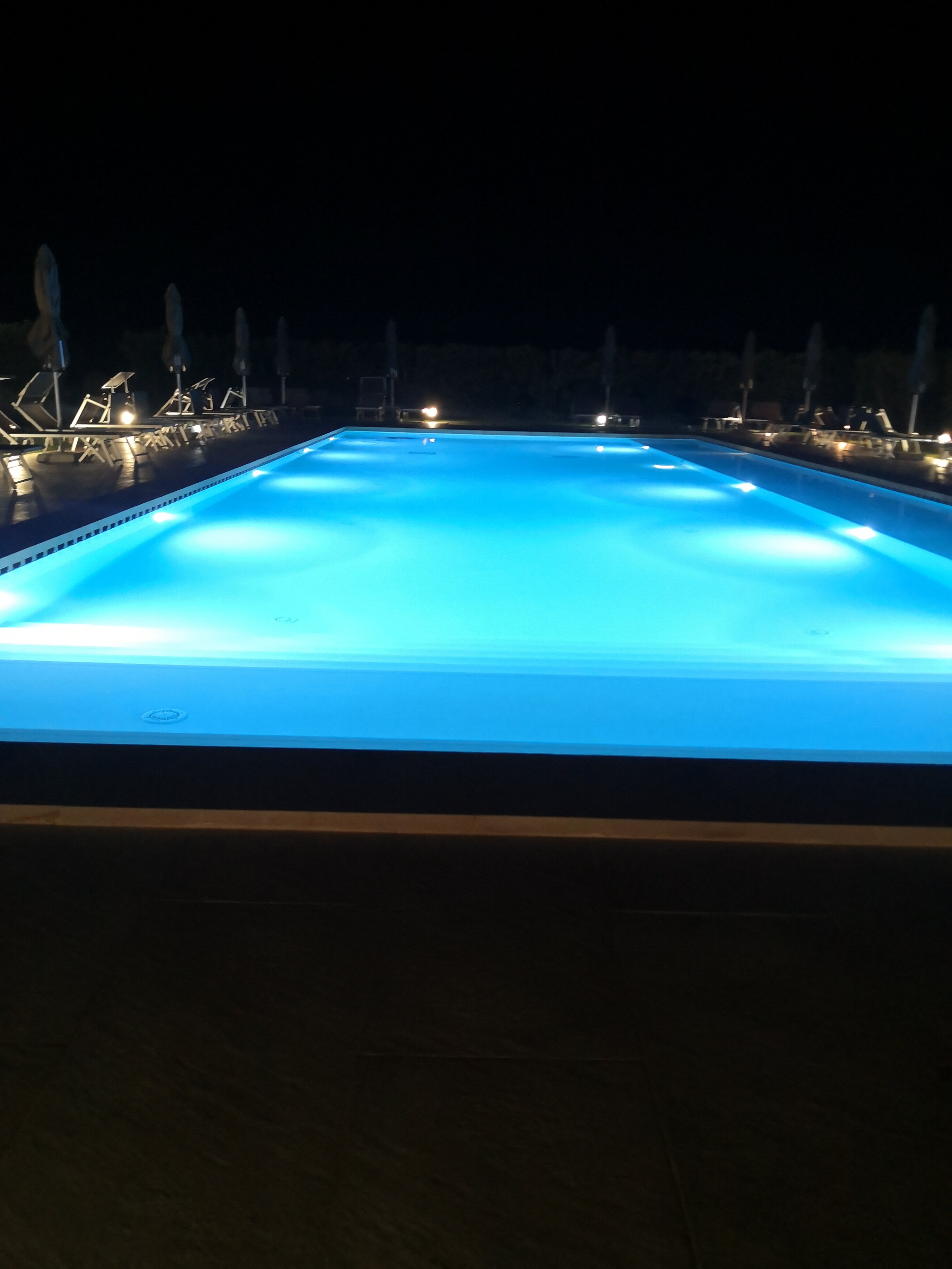 Delle Rose Horses Club-官方
