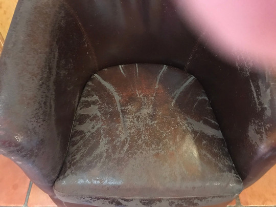 The Maverick Inn主图