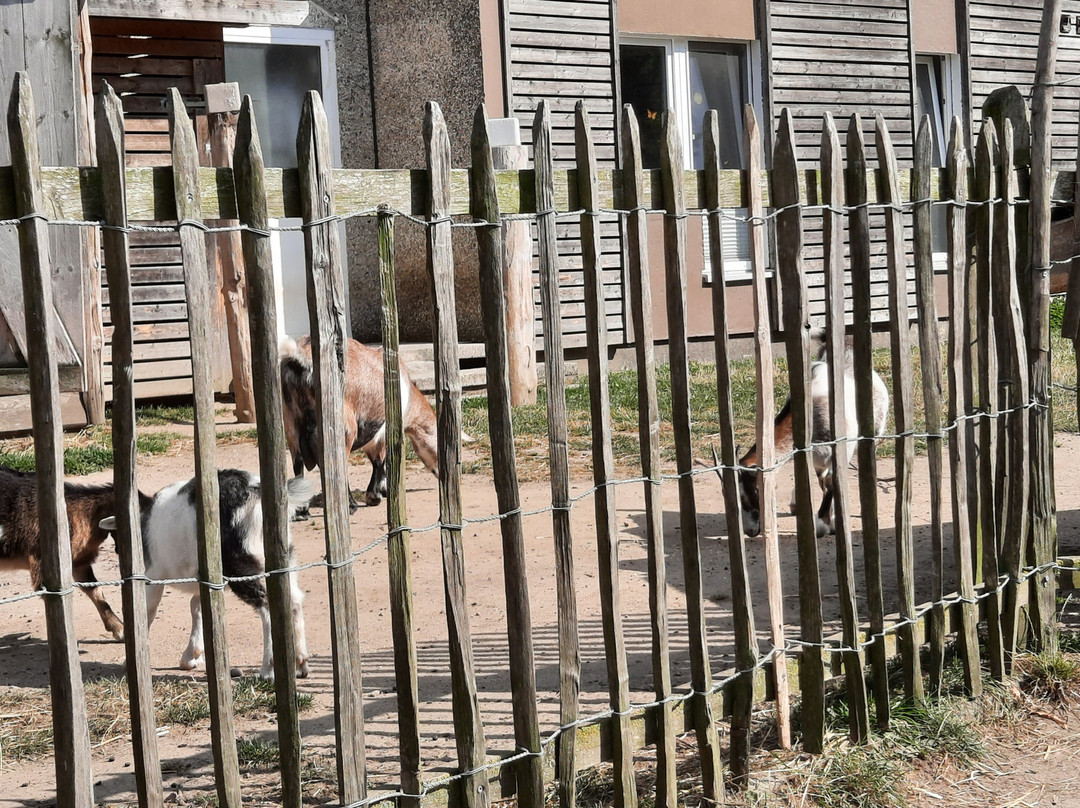 StrandResort Markgrafenheide主图