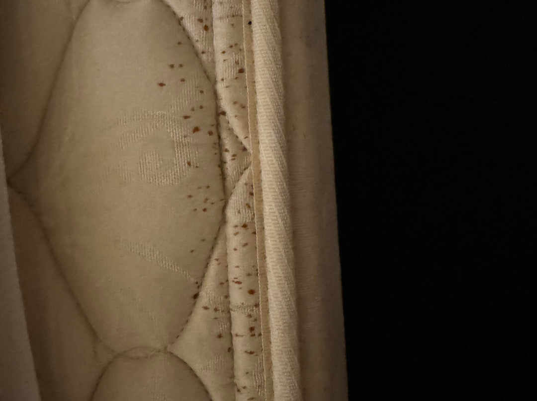 Cedar Crest Inn主图