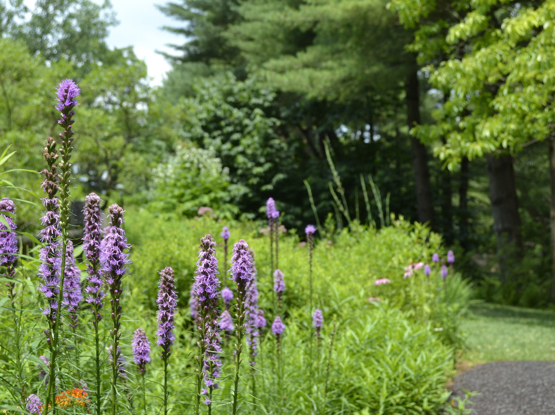 Jenkins Arboretum & Gardens-Devon必去景点