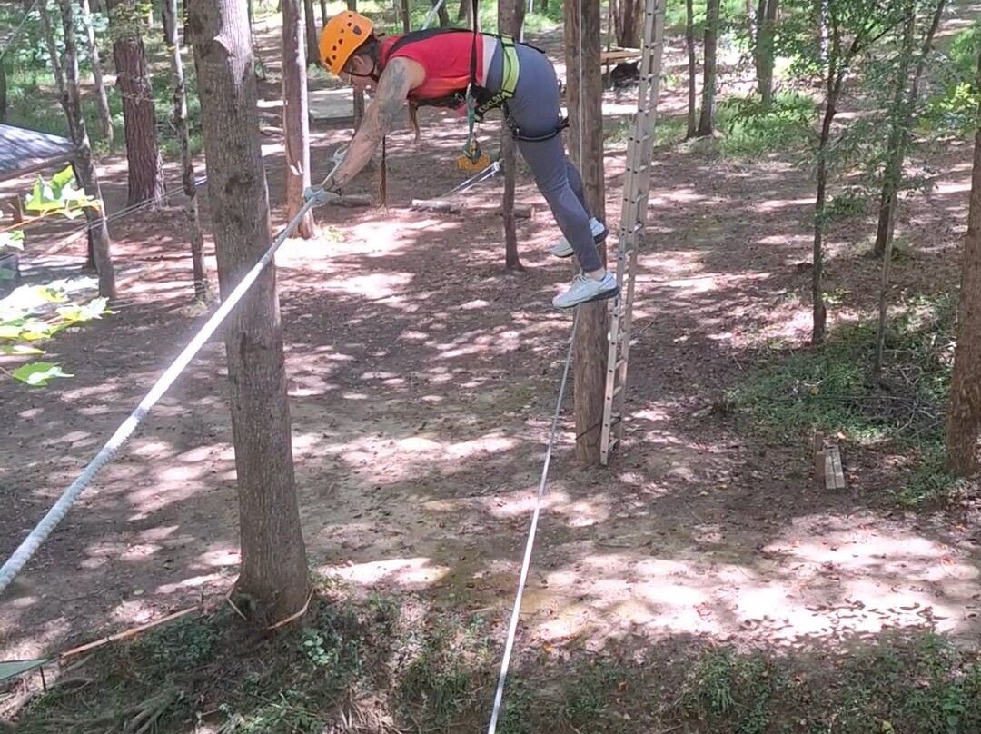 Canopy Adventure Park景点图片