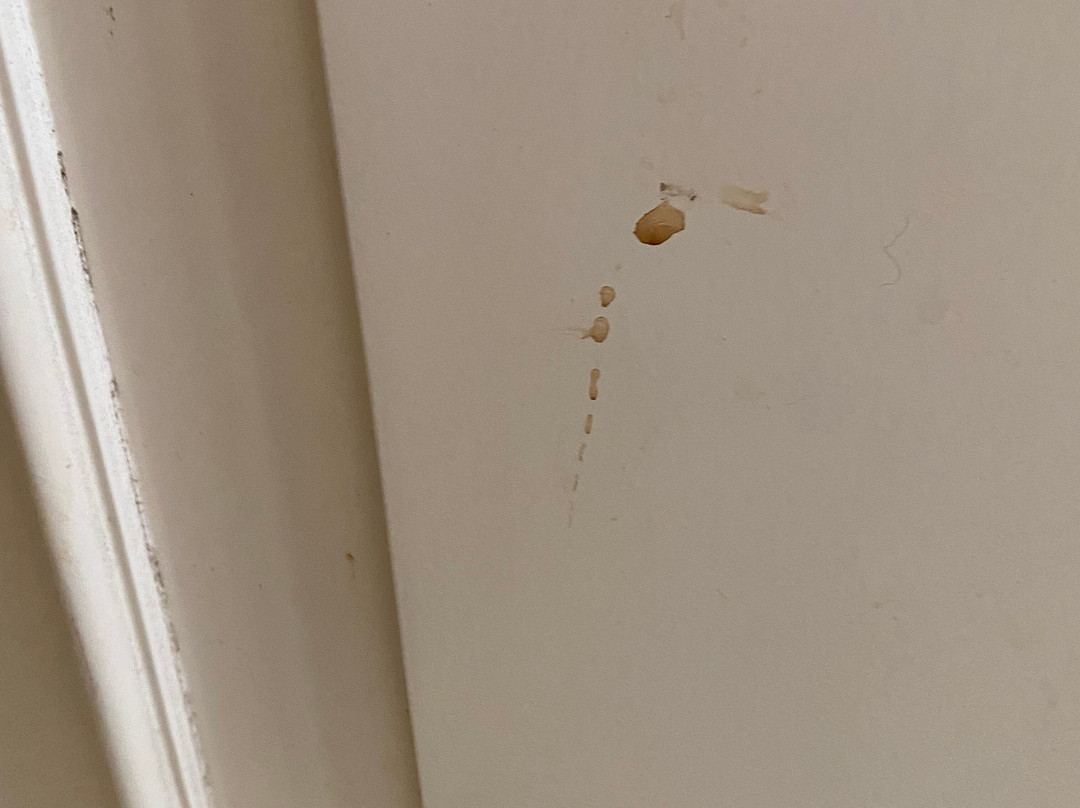 Indies Heritage Hotel主图