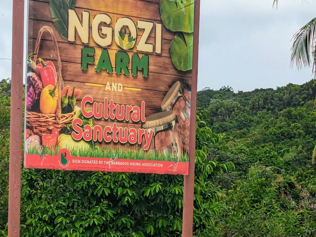 Ngozi Farm And Cultural Sanctuary-Swanns必去景点