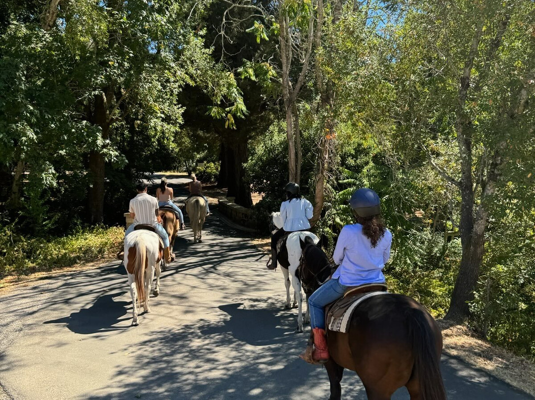 Sonoma Valley Trail Rides景点图片