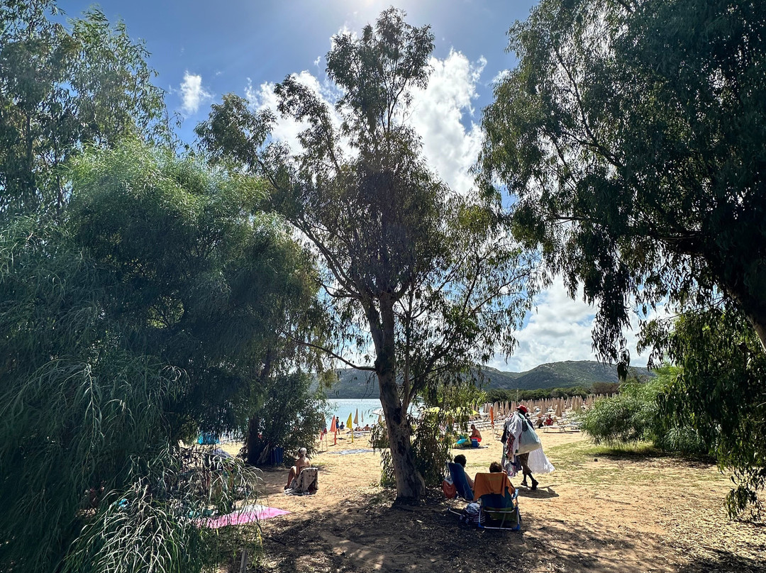 Spiaggia Porto Mannu-帕劳必去景点