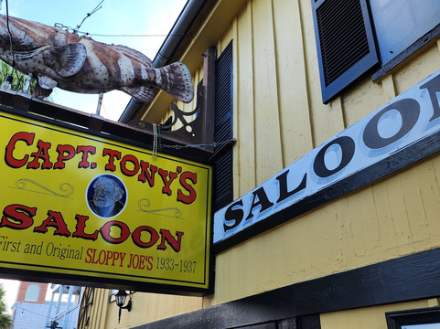 Island Safari Rentals-基韦斯特必去景点