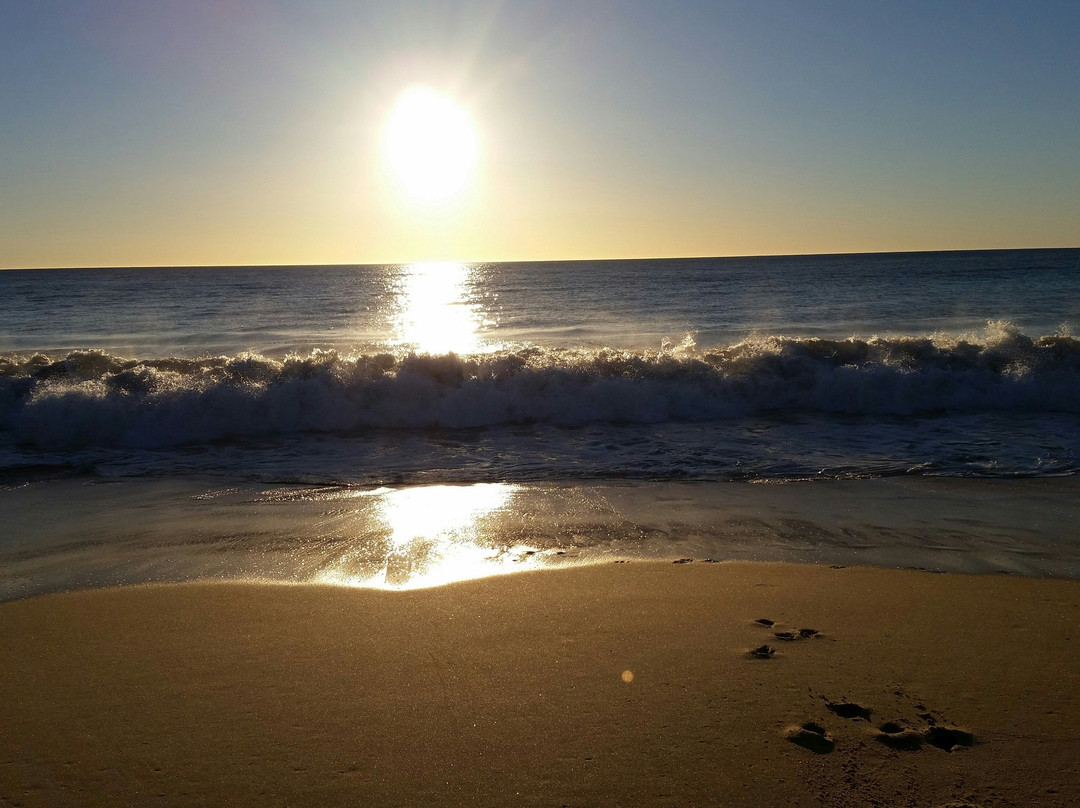 Myalup Beach景点图片