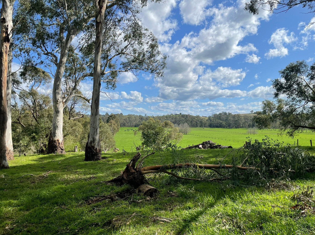 Coranderrk Aboriginal Cemetery And Barak Monument-希尔斯维尔必去景点