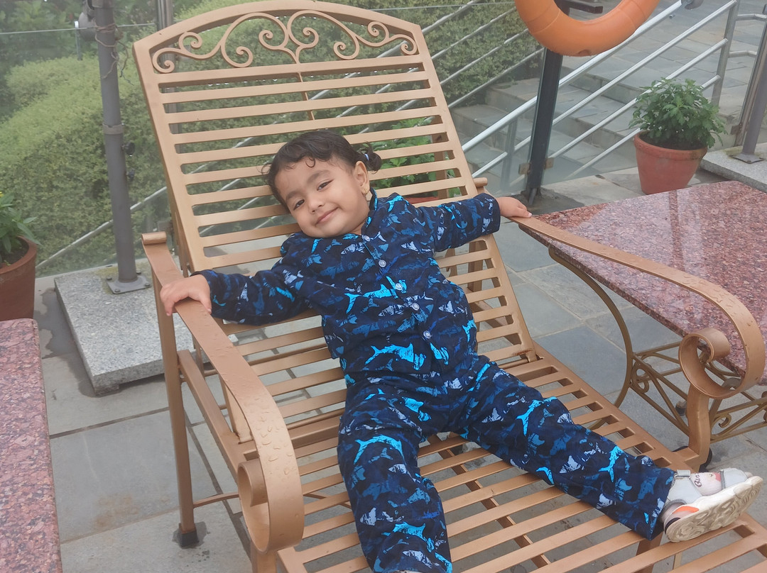 Himalaya Drishya Resort主图