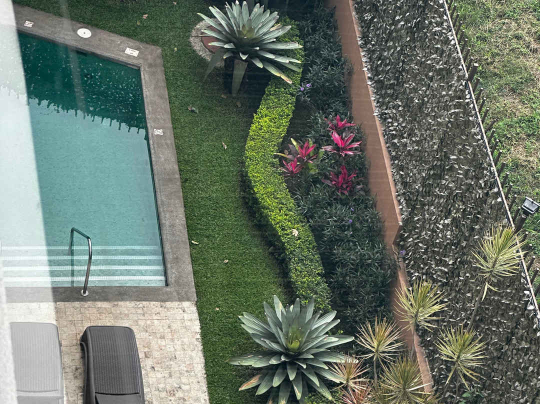 圣何塞皮纳雷斯凯悦广场酒店主图