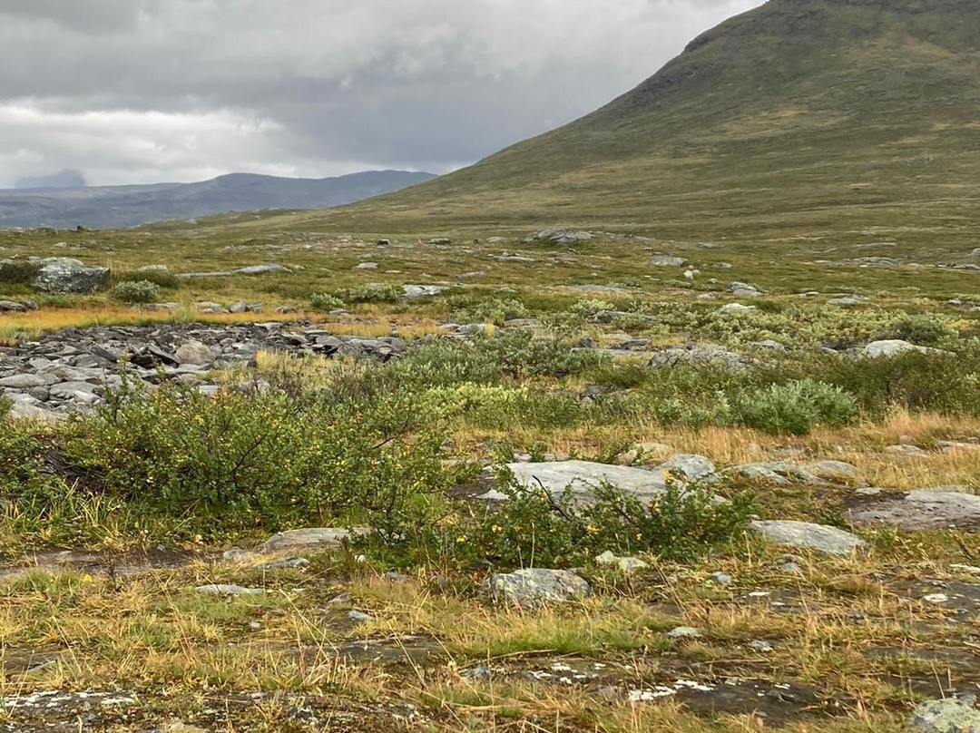 Kiruna in Swedish Lapland-基律纳必去景点