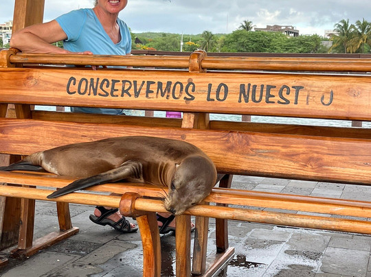 Galapagos Surf Discovery-Puerto Baquerizo Moreno必去景点