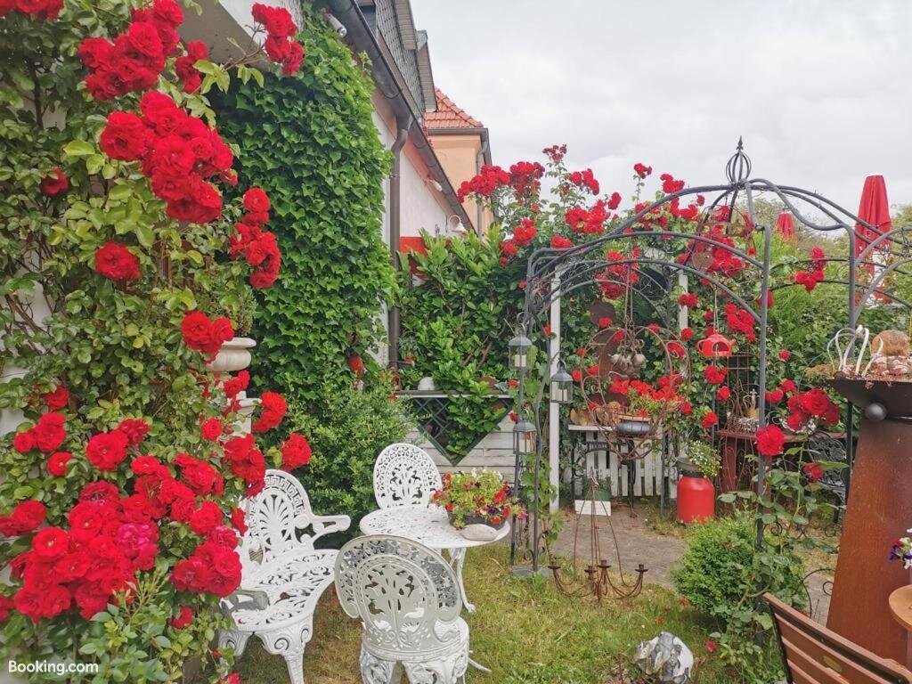 Cafesahne U Pension主图