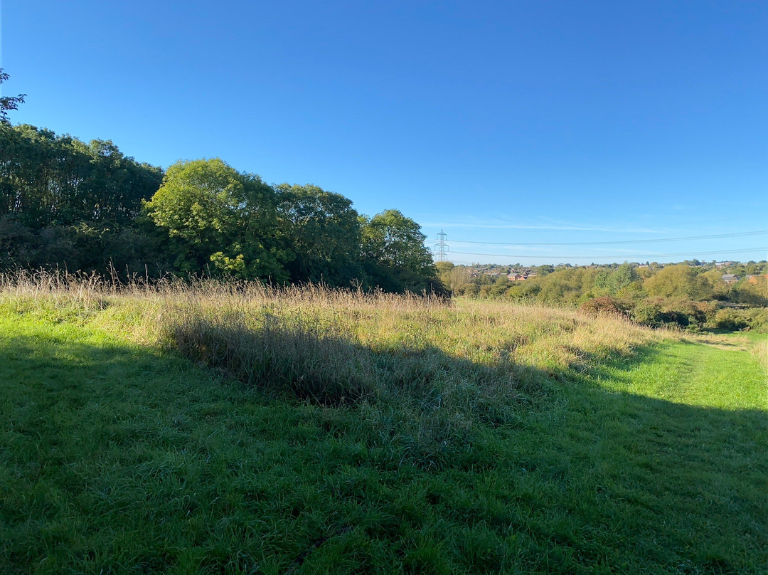 Castle Hill Country Park景点图片