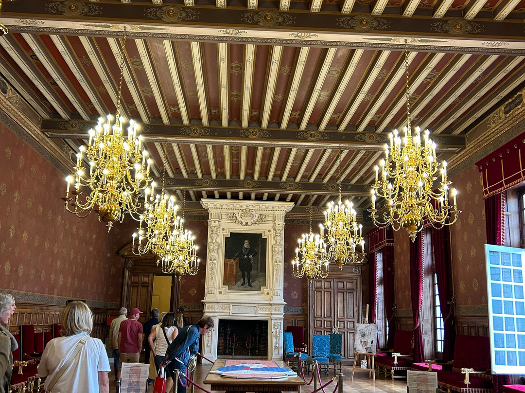 Hotel de Ville景点图片