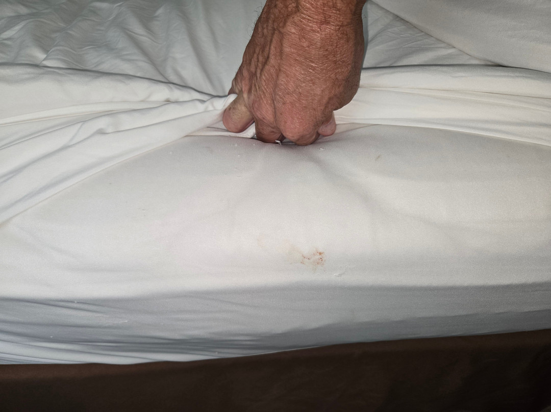 Super 8 by Wyndham Poplar Bluff Missouri主图