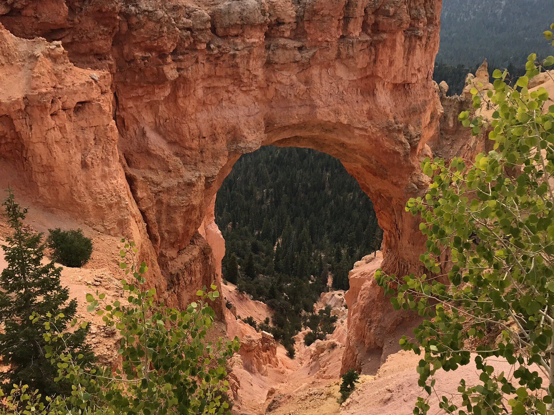 Natural Bridge-布莱斯必去景点