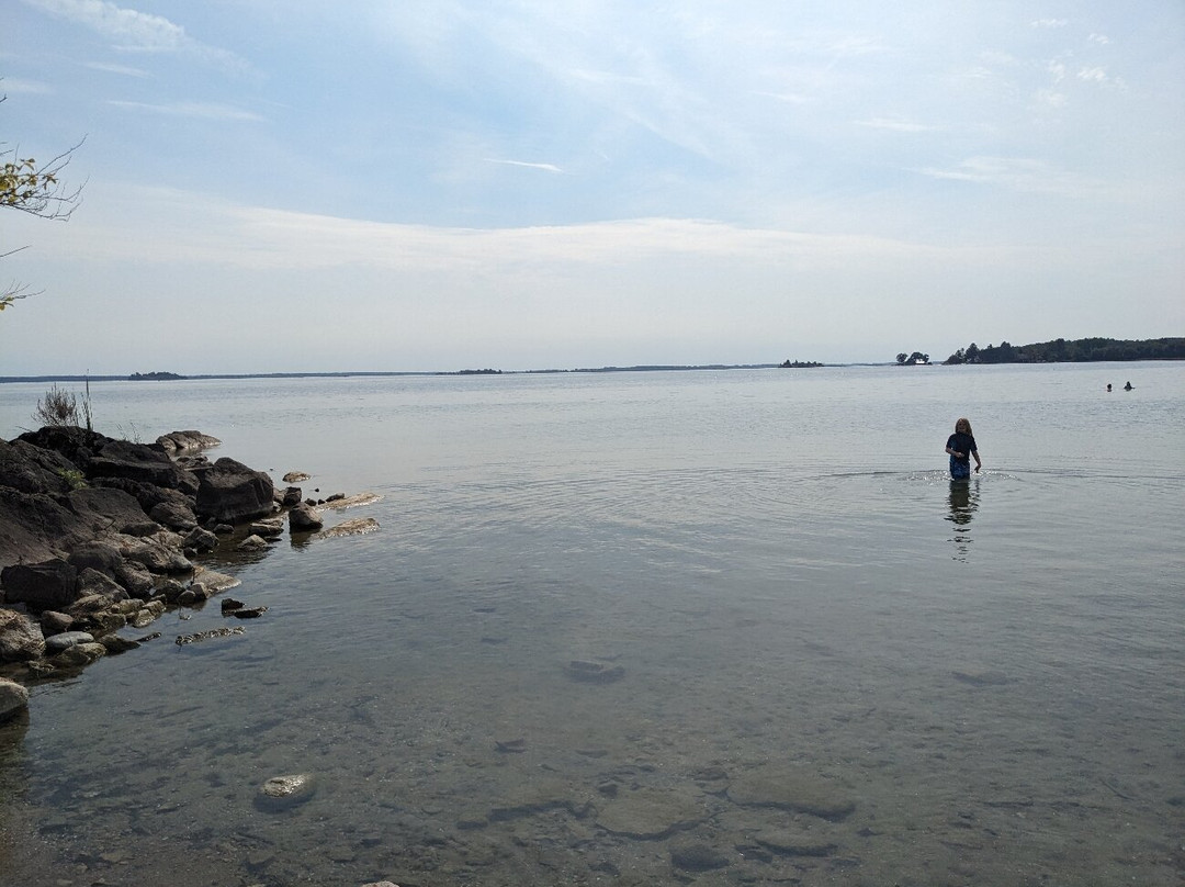 Brown’s Bay Day Park景点图片