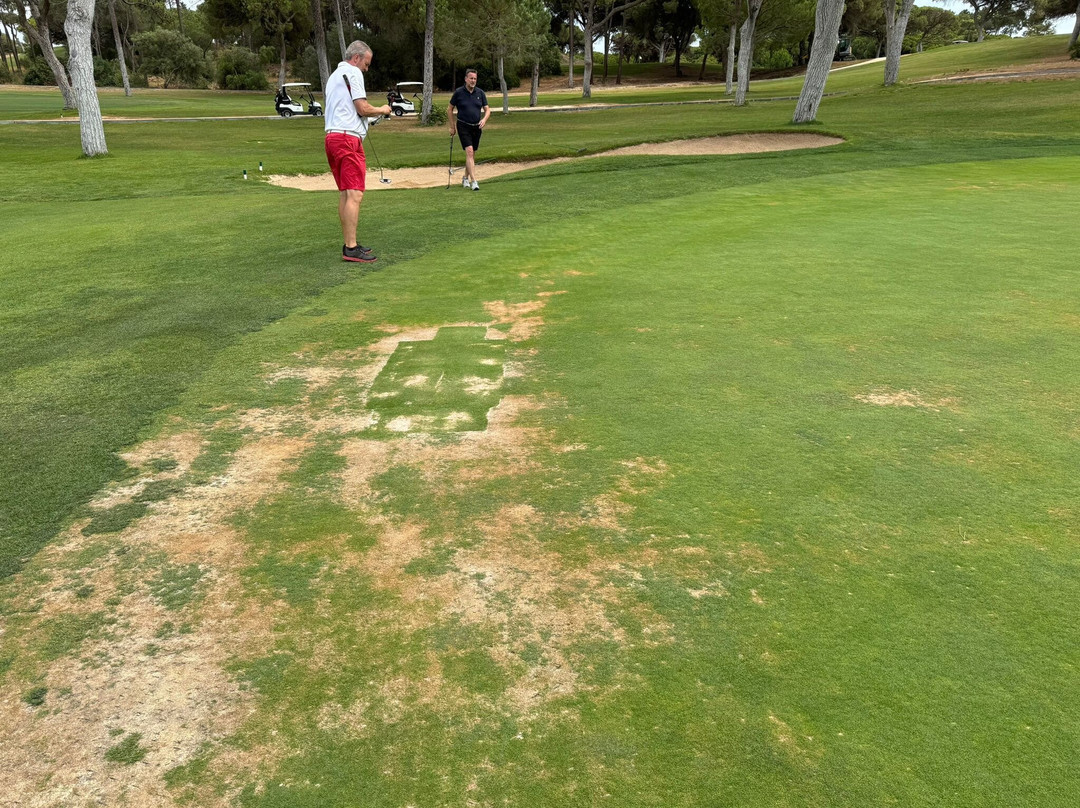 Old Course Vilamoura景点图片