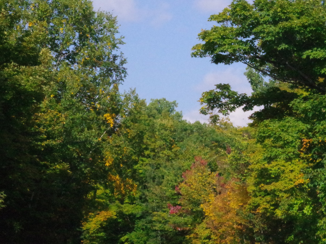 Champlain Lookout景点图片