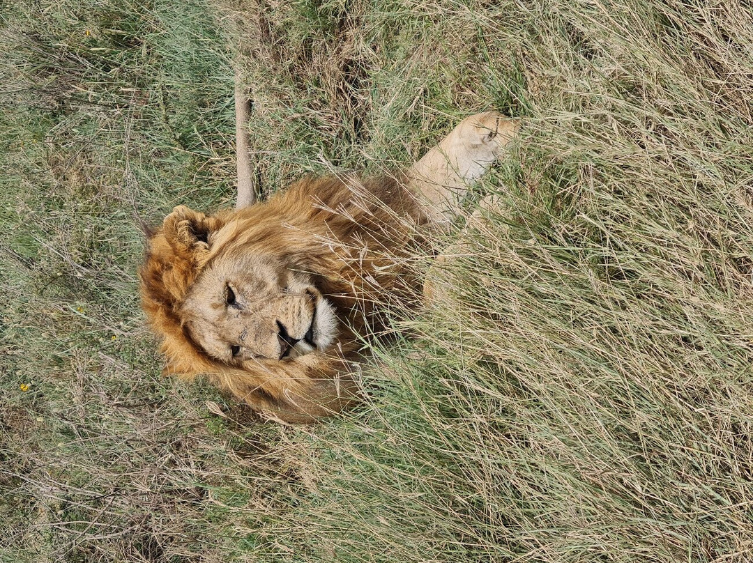 Best tour operator in Tanzania by Rede Tours and Safaris景点图片