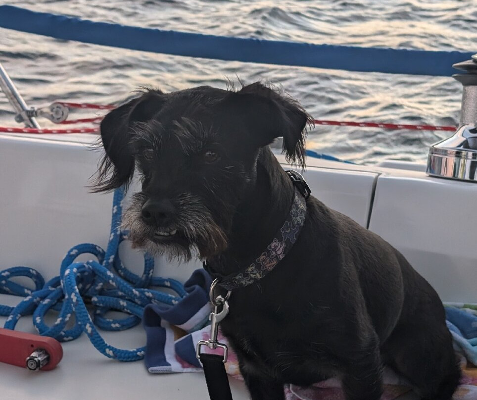 Traverse City Sailing Charters-特拉弗斯城必去景点