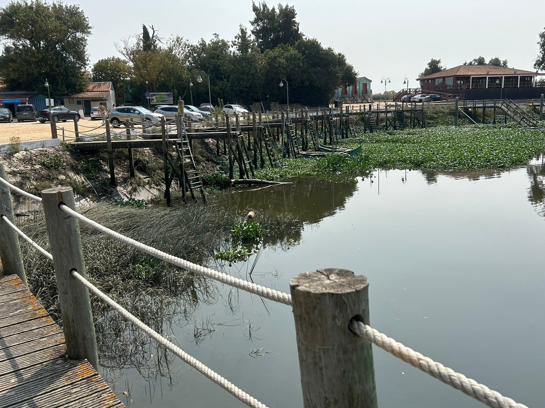 Marina de Escaroupim景点图片