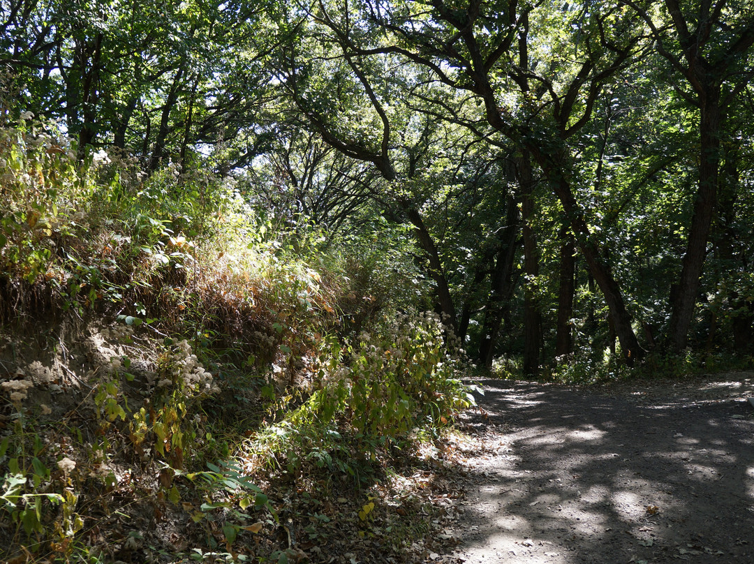 Good Earth State Park景点图片