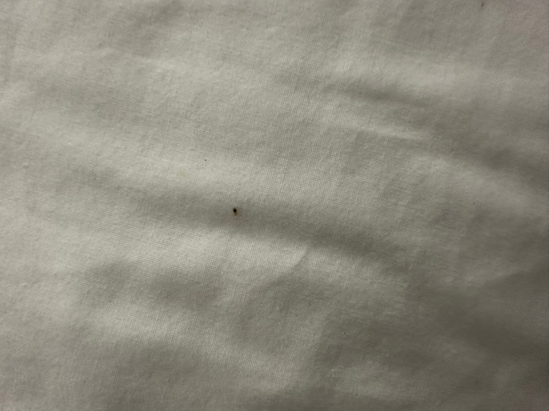 Stonecrest Motel主图